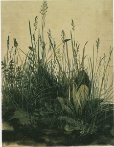 "Great Piece of Turf" by Albrecht Dürer 